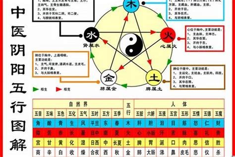 1984五行|【1984年五行】揭曉！1984年五行屬什麼？鼠年的你五行命運大。